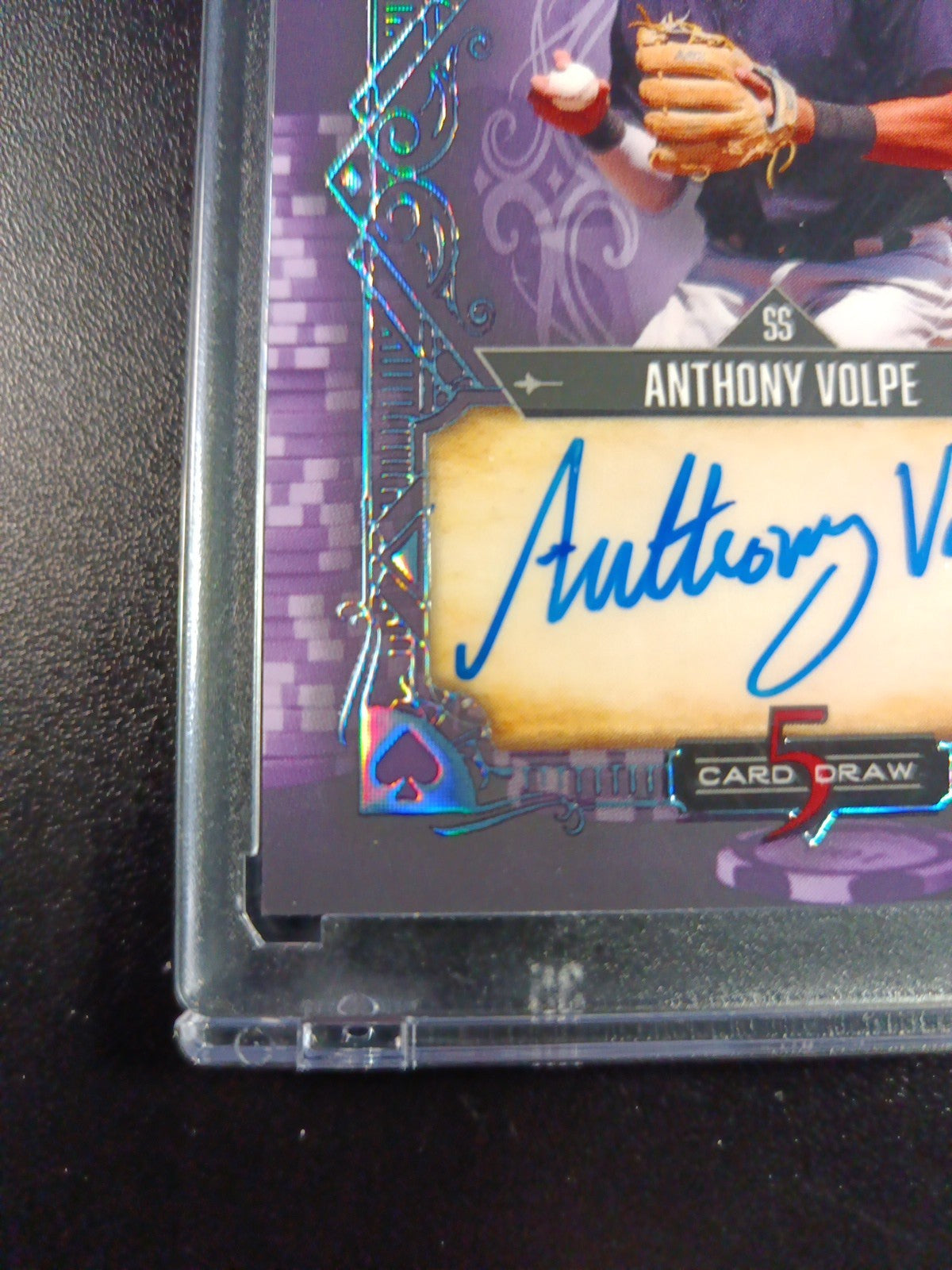 # 4/4 Autograph Anthony Volpe Holo Foil Purple Rookie Baseball Wild Card /1