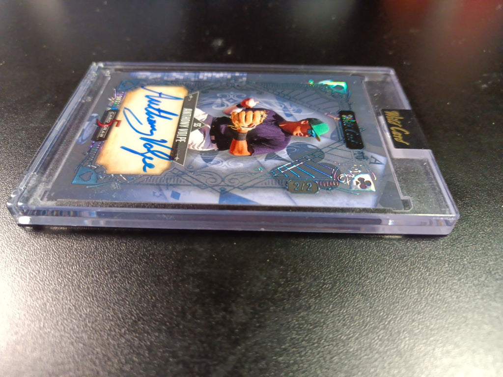 # 2/2 Autograph Anthony Volpe Holo Foil Blue Rookie Baseball Wild Card  MLB