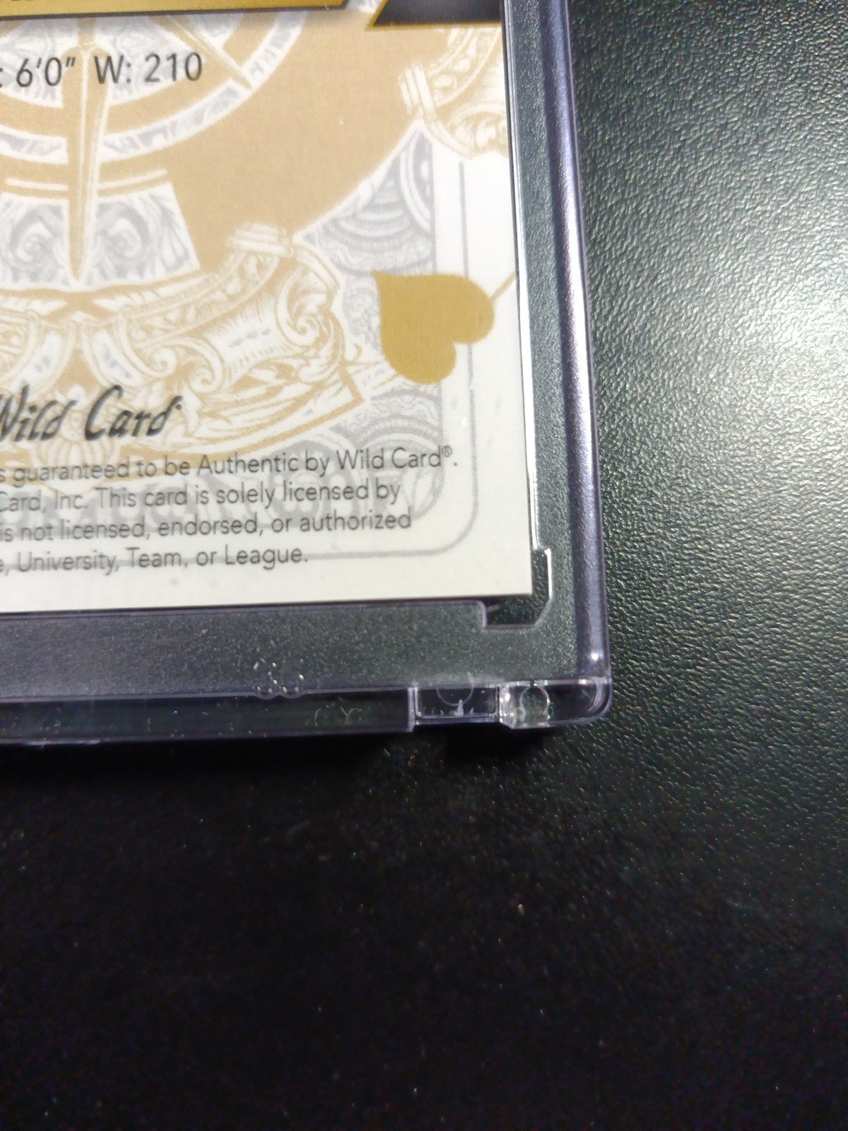 # 1/1 Autograph Agustin Ramirez Black Prizm Refractor Rookie Baseball Wild Card