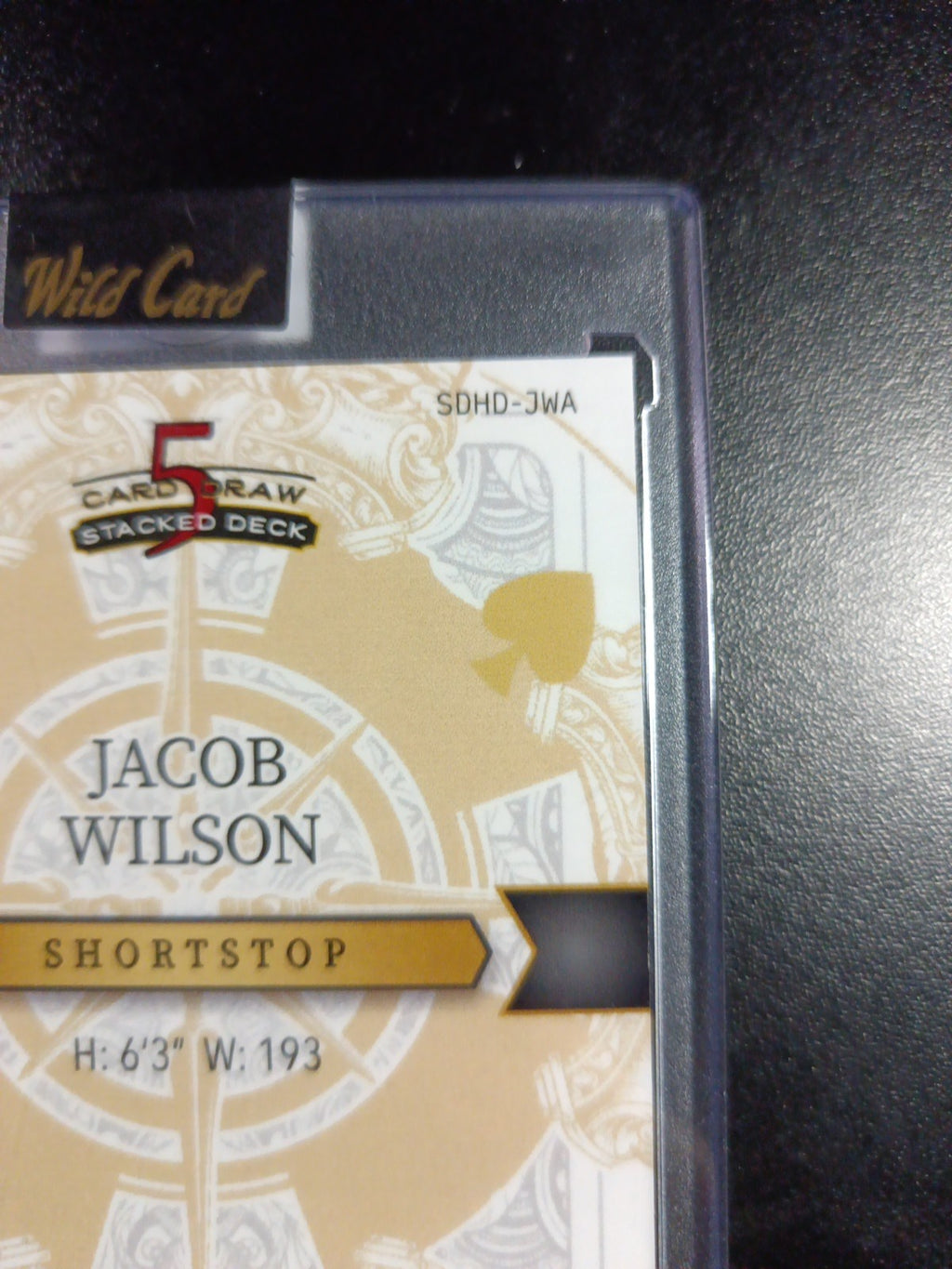 RARE # 1/1 Autograph Jacob Wilson Rainbow Prizm Rookie Baseball Wild Card /1