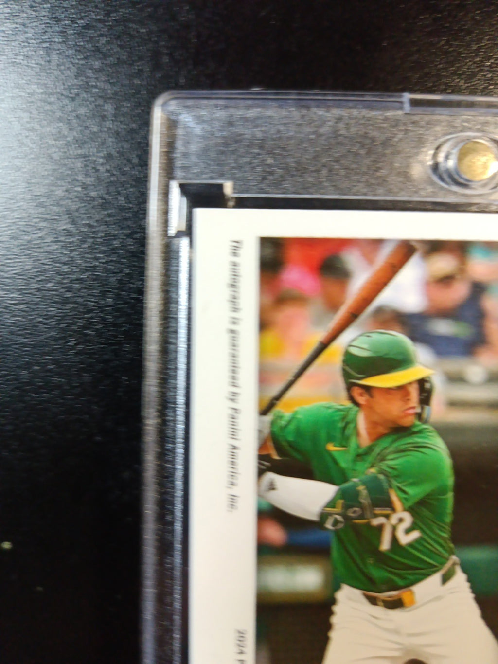 # /49 Error Card Autograph Dodgers Max Muncy Rookie World Series Baseball Card