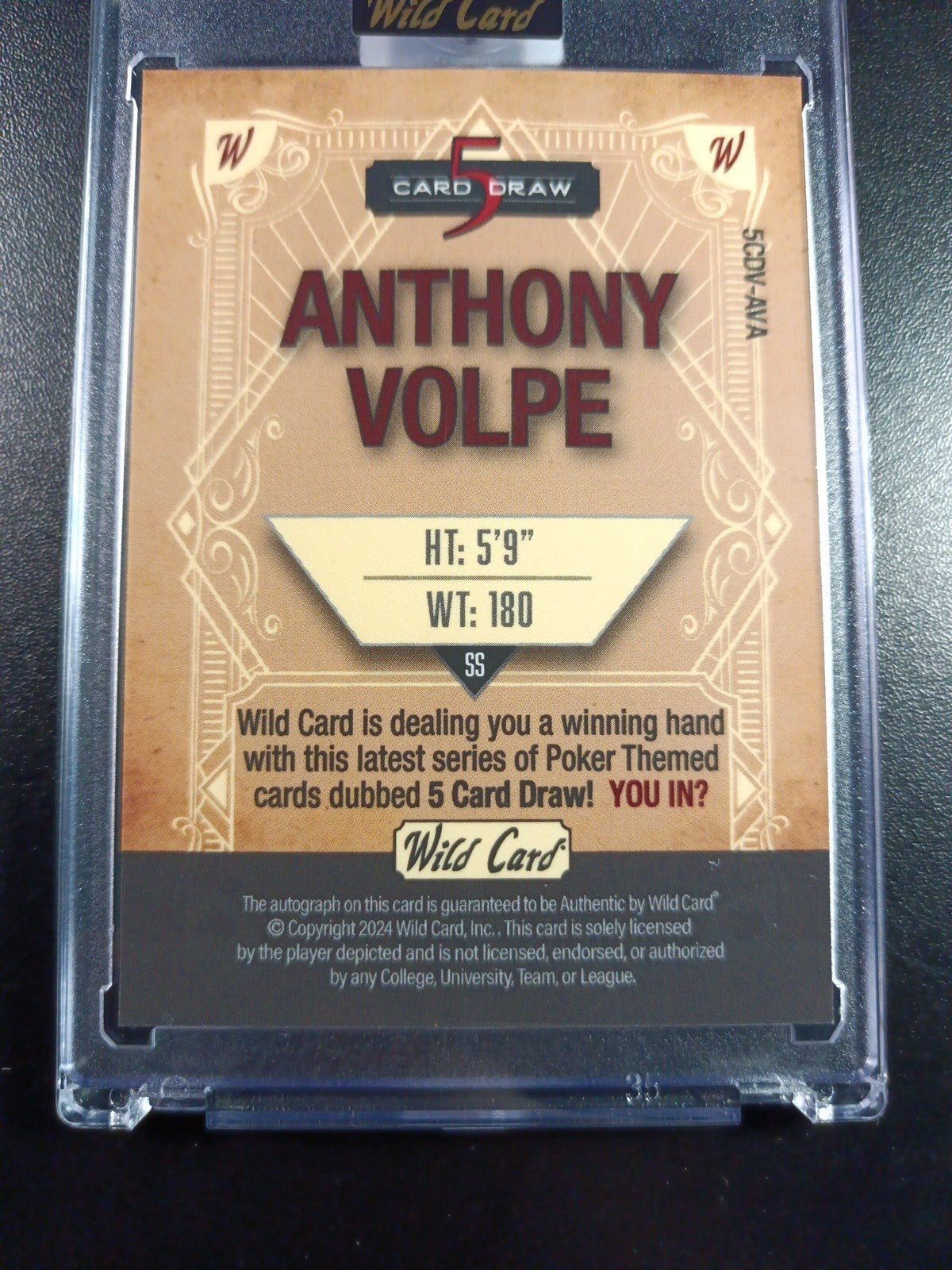 # 4/4 Autograph Anthony Volpe Holo Foil Purple Rookie Baseball Wild Card /1