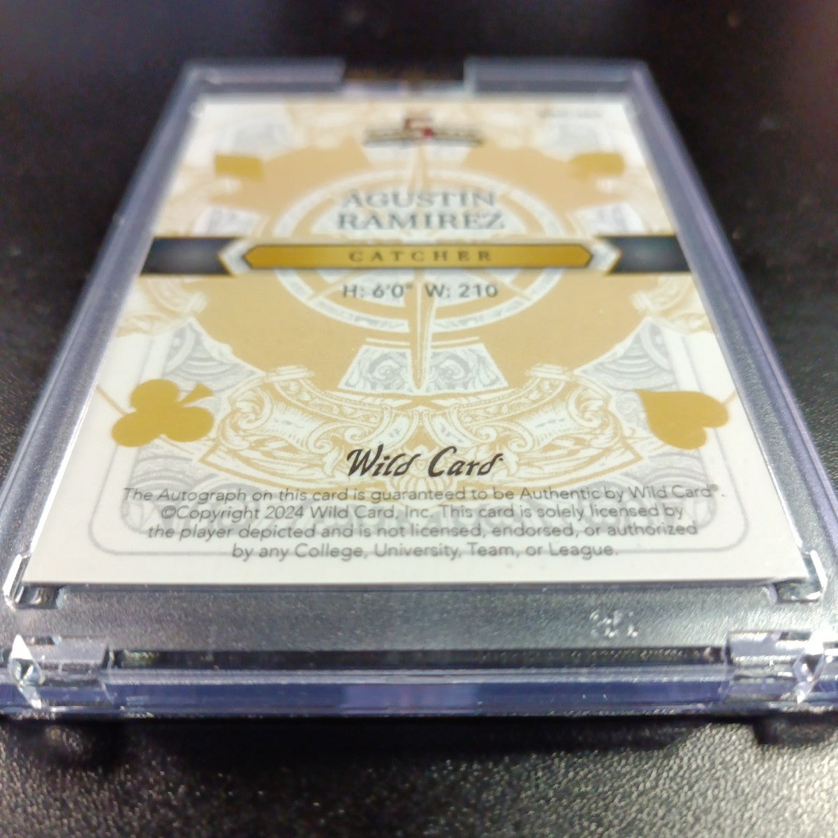 # 1/1 Autograph Agustin Ramirez Black Prizm Refractor Rookie Baseball Wild Card