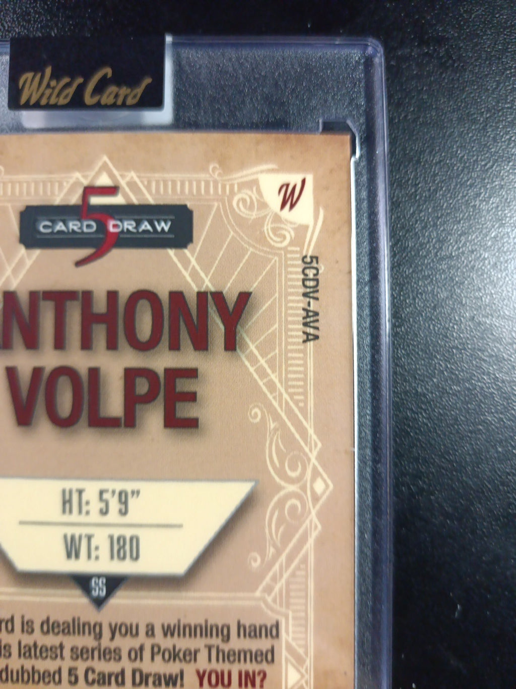 # 4/4 Autograph Anthony Volpe Holo Foil Purple Rookie Baseball Wild Card /1