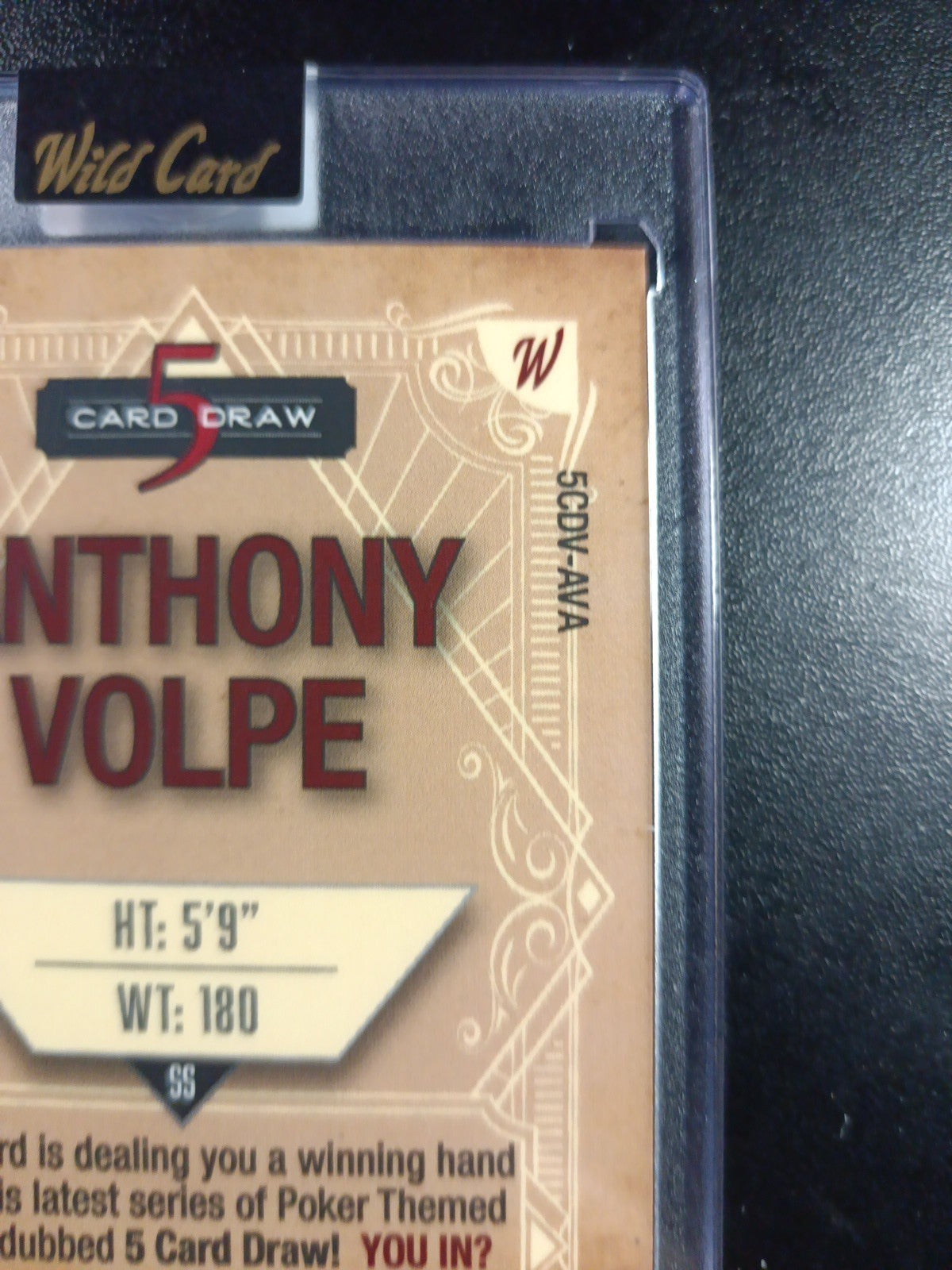 # 4/4 Autograph Anthony Volpe Holo Foil Purple Rookie Baseball Wild Card /1