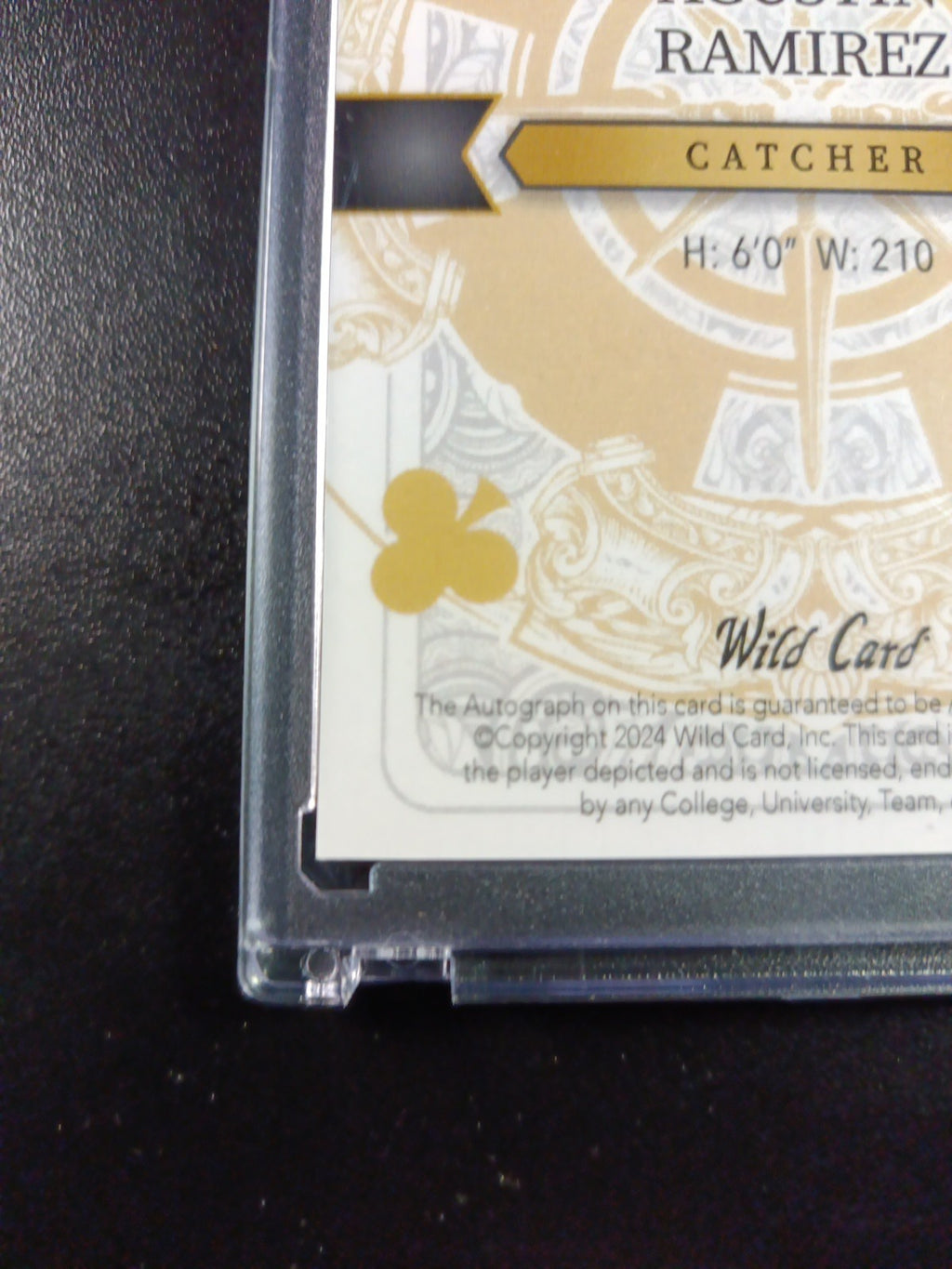 # 1/1 Autograph Agustin Ramirez Black Prizm Refractor Rookie Baseball Wild Card