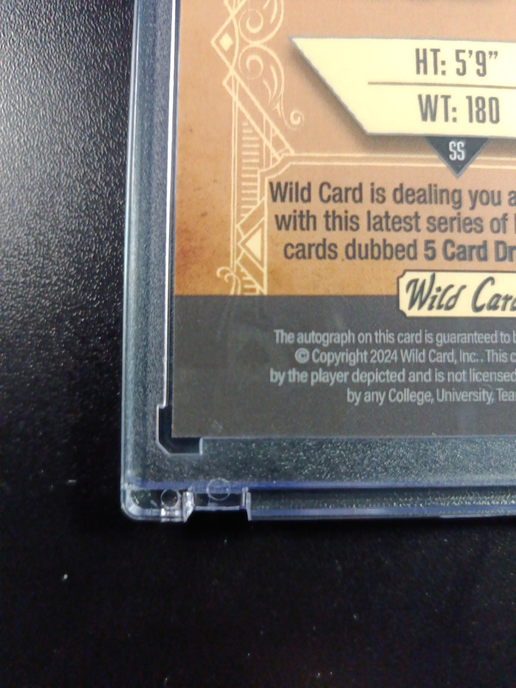 # 4/4 Autograph Anthony Volpe Holo Foil Purple Rookie Baseball Wild Card /1