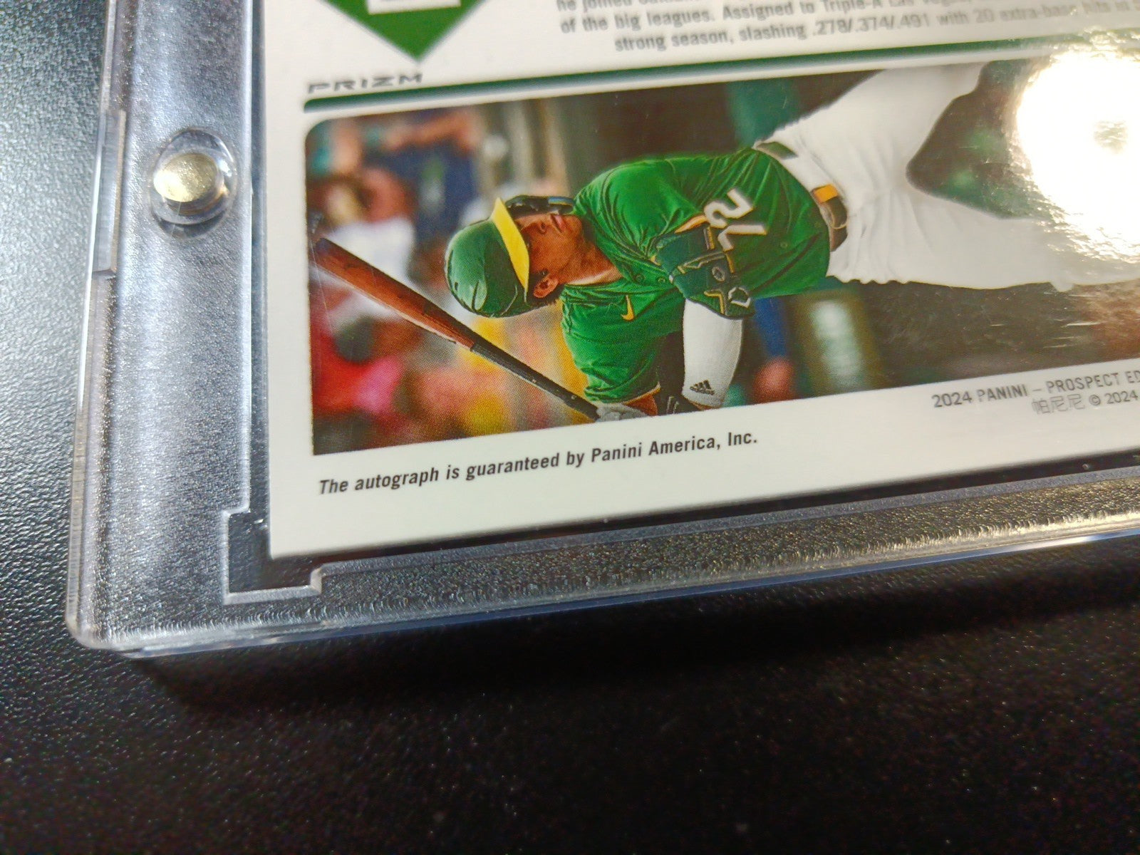 # /49 Error Card Autograph Dodgers Max Muncy Rookie World Series Baseball Card