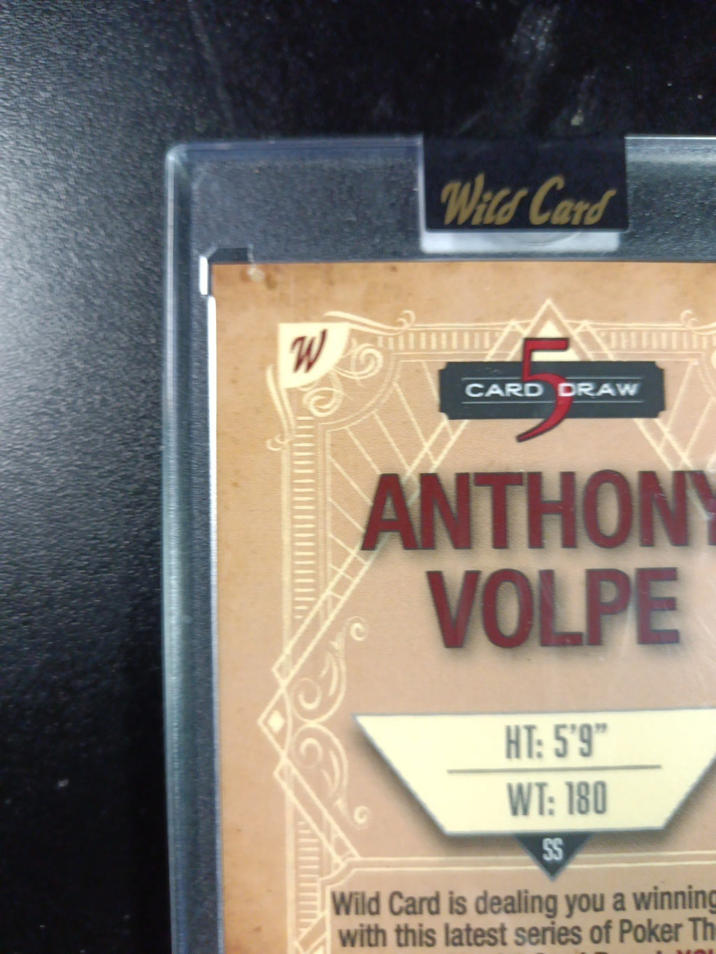 # 2/2 Autograph Anthony Volpe Holo Foil Blue Rookie Baseball Wild Card  MLB