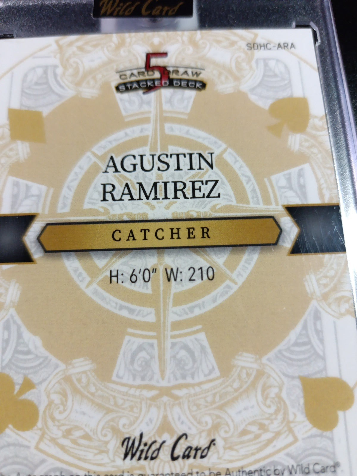 # 1/1 Autograph Agustin Ramirez Black Prizm Refractor Rookie Baseball Wild Card