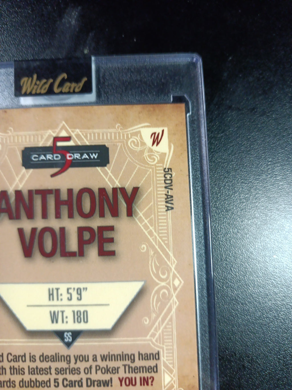 # 2/2 Autograph Anthony Volpe Holo Foil Blue Rookie Baseball Wild Card  MLB