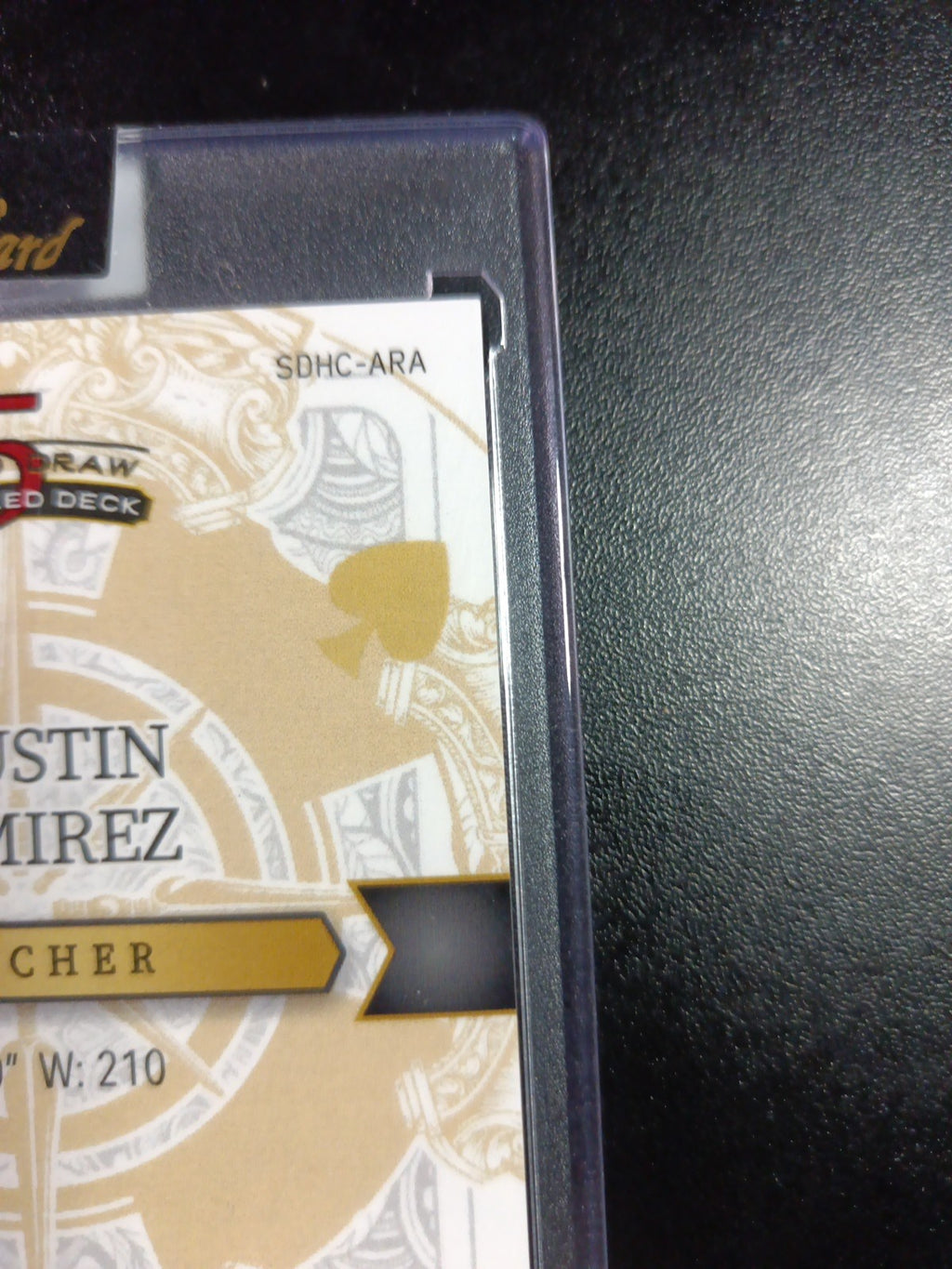 # 1/1 Autograph Agustin Ramirez Black Prizm Refractor Rookie Baseball Wild Card