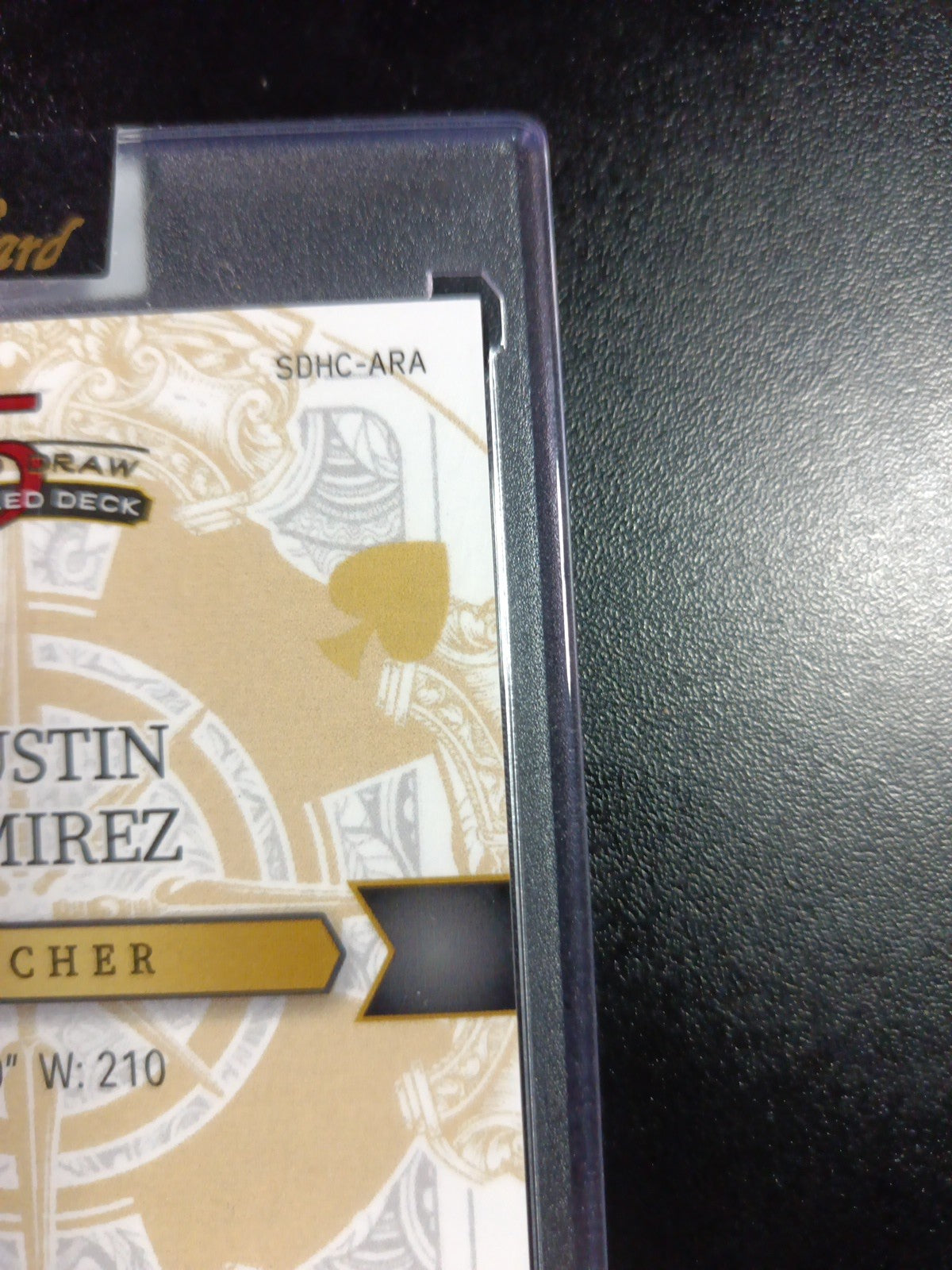 # 1/1 Autograph Agustin Ramirez Black Prizm Refractor Rookie Baseball Wild Card