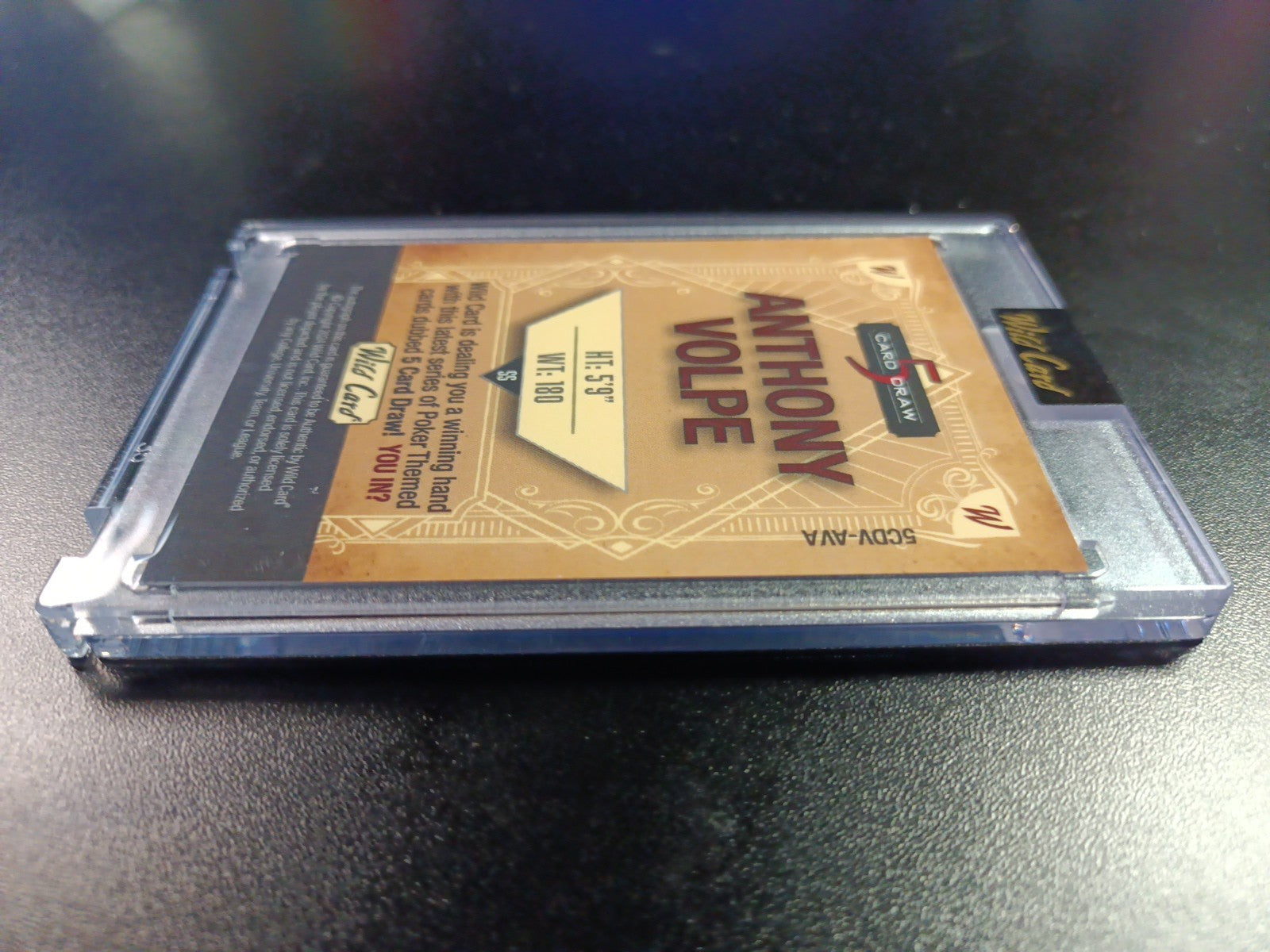 # 4/4 Autograph Anthony Volpe Holo Foil Purple Rookie Baseball Wild Card /1