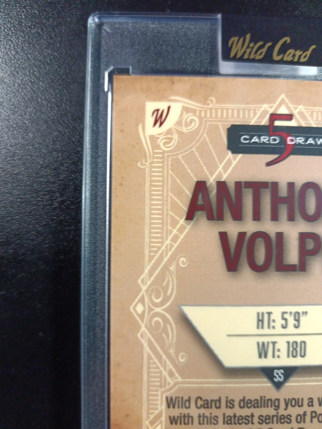 # 4/4 Autograph Anthony Volpe Holo Foil Purple Rookie Baseball Wild Card /1