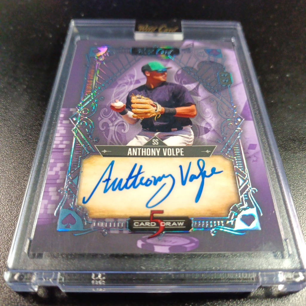 # 4/4 Autograph Anthony Volpe Holo Foil Purple Rookie Baseball Wild Card /1