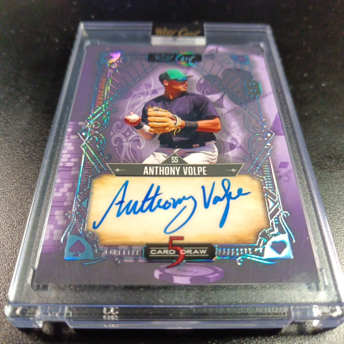 # 4/4 Autograph Anthony Volpe Holo Foil Purple Rookie Baseball Wild Card /1
