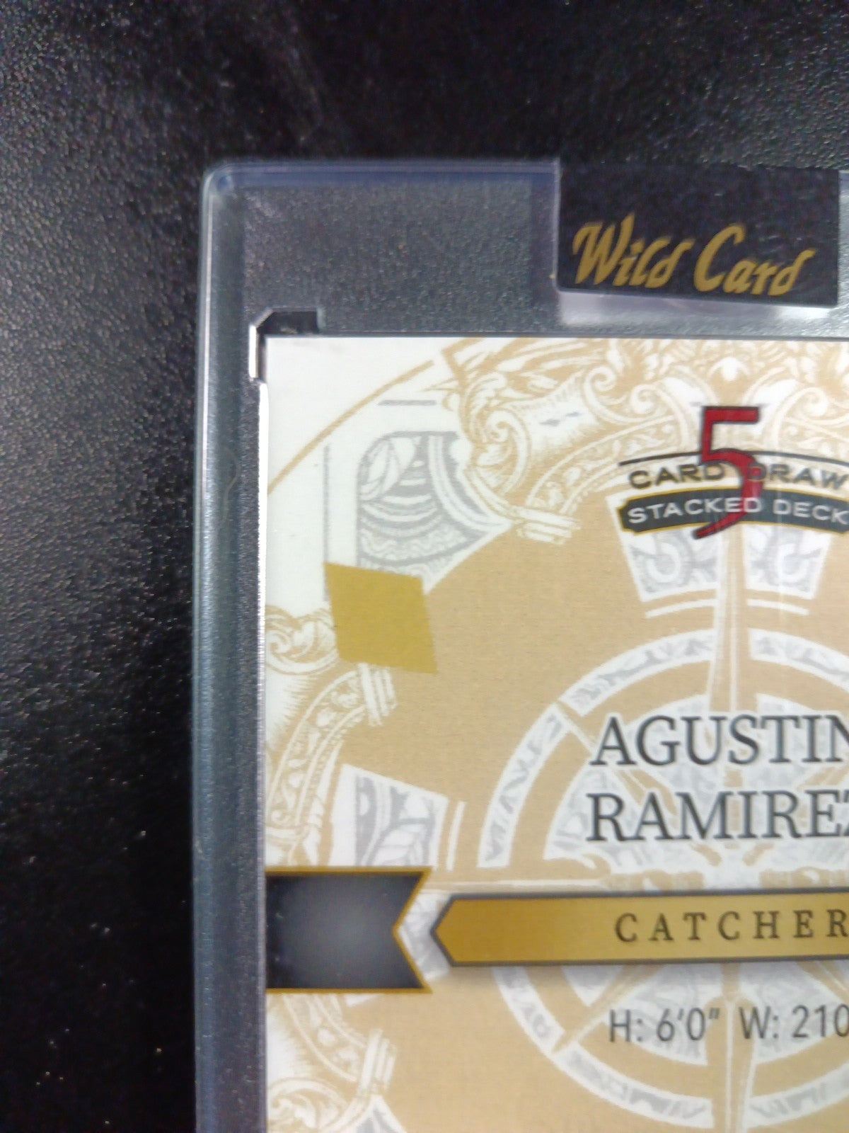 # 1/1 Autograph Agustin Ramirez Black Prizm Refractor Rookie Baseball Wild Card