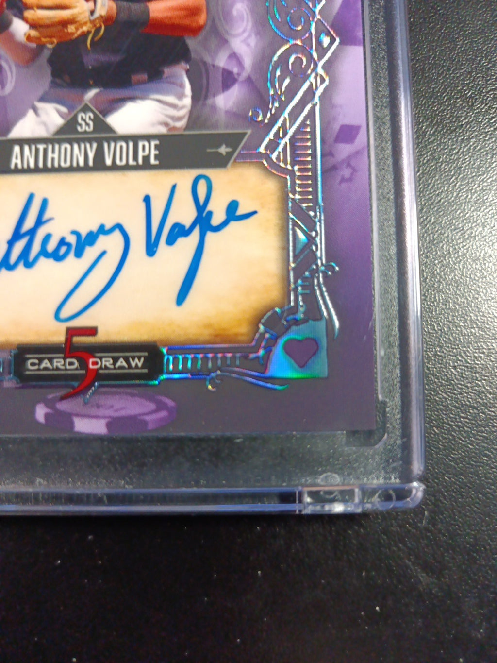 # 4/4 Autograph Anthony Volpe Holo Foil Purple Rookie Baseball Wild Card /1