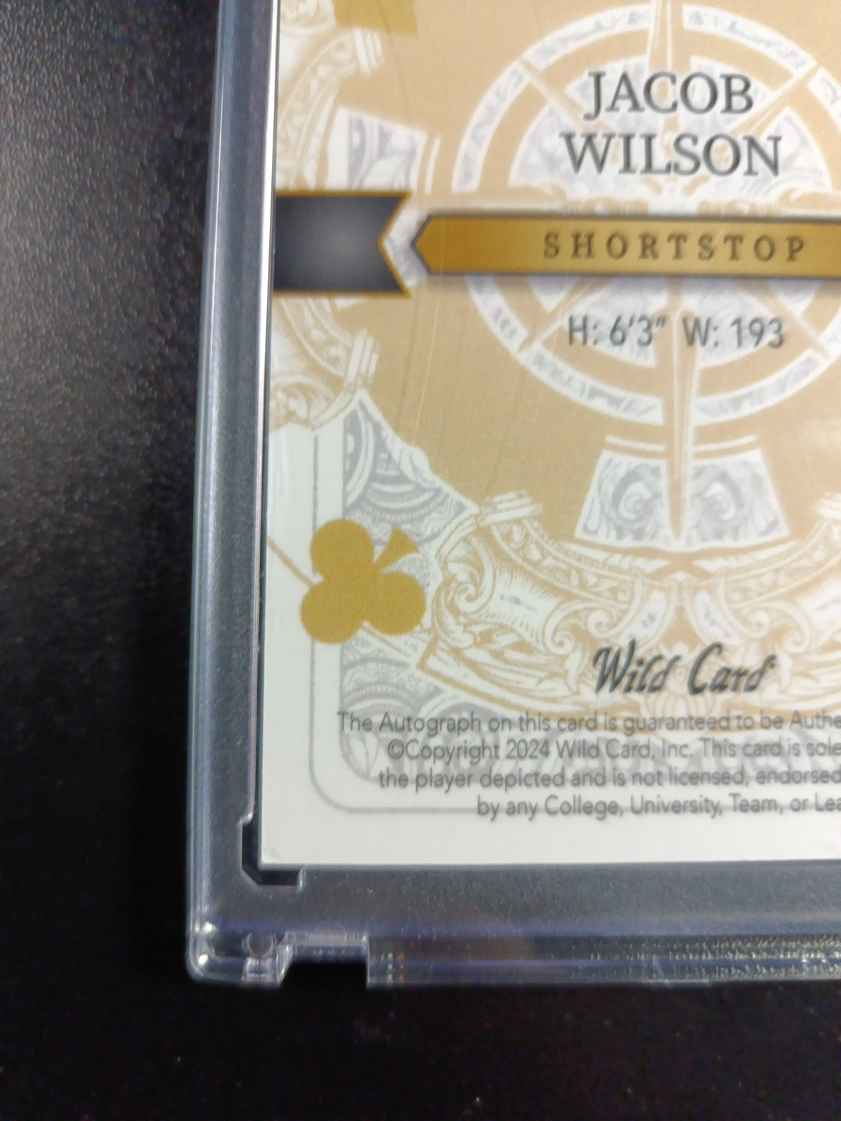 RARE # 1/1 Autograph Jacob Wilson Rainbow Prizm Rookie Baseball Wild Card /1